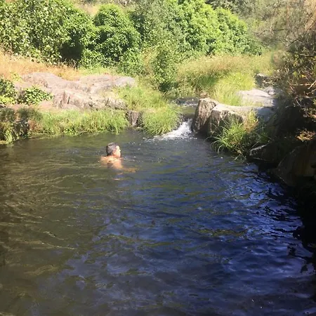 Prunus Avium Lantställe