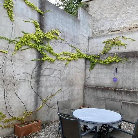 Prunus Avium * Cambron