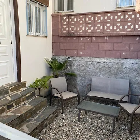 Lantställe Prunus Avium