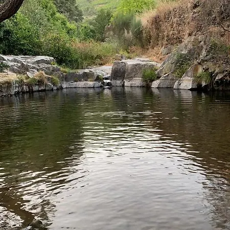 Lantställe Prunus Avium