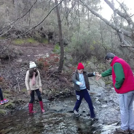 Prunus Avium * Cambron