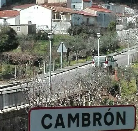 Prunus Avium Lantställe