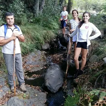 Prunus Avium Lantställe Cambron