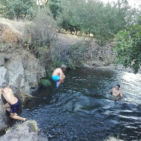 Prunus Avium Country house *