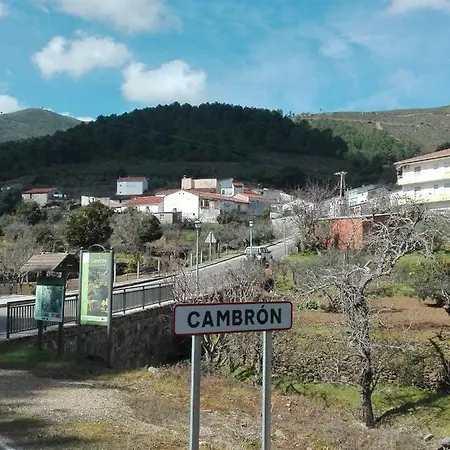 Prunus Avium Cambron