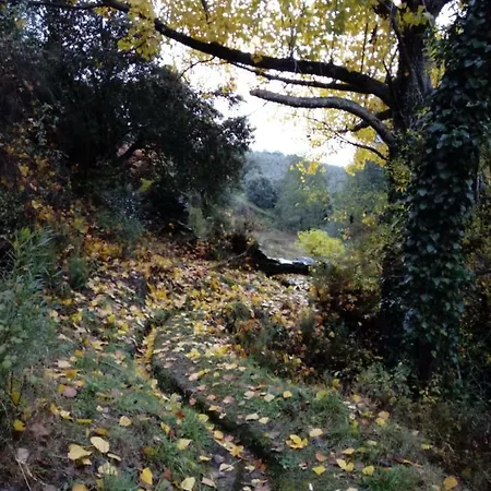 Prunus Avium Country house Cambron
