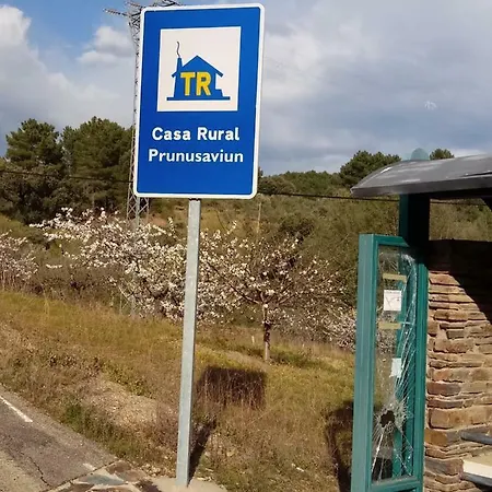 Prunus Avium Country house