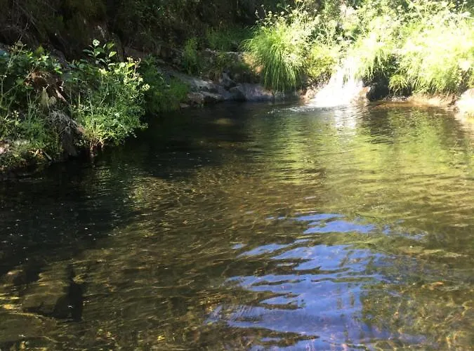 Prunus Avium Casa de Campo