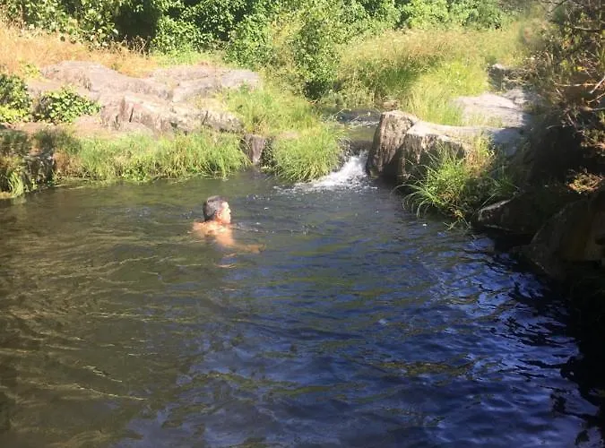Prunus Avium Casa de Campo
