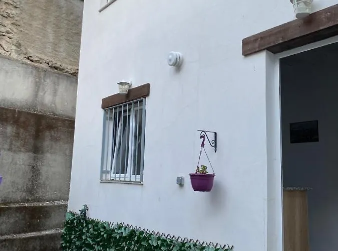 Prunus Avium Casa de Campo