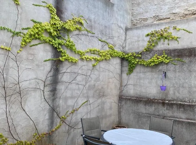 Prunus Avium * Cambron