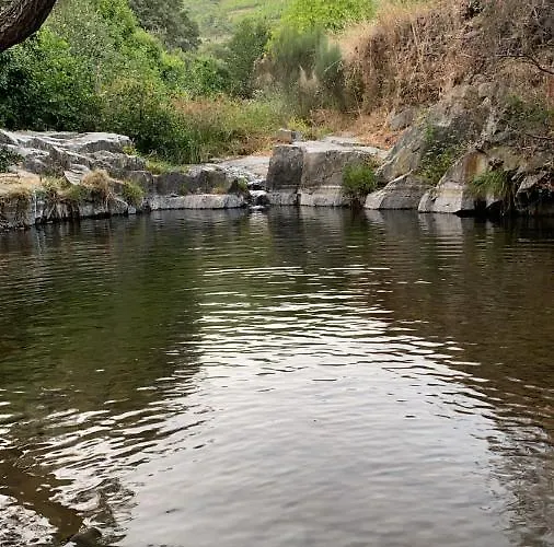 Casa de Campo Prunus Avium