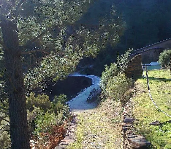 Casa de Campo Prunus Avium Cambron