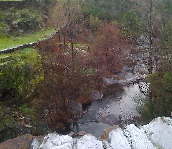 Casa de Campo Prunus Avium