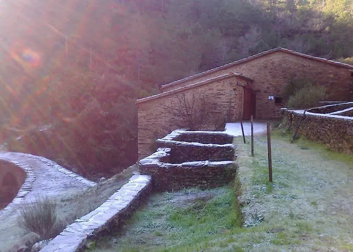 Casa de Campo Prunus Avium Cambron