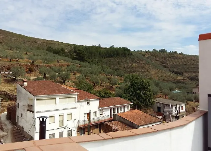 Casa de Campo Prunus Avium