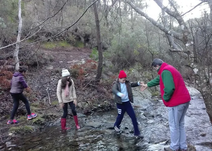 Prunus Avium * Cambron