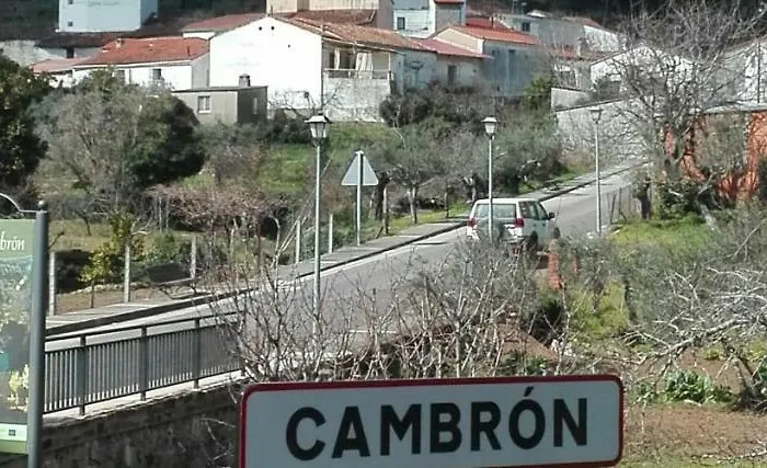 Prunus Avium Casa de Campo