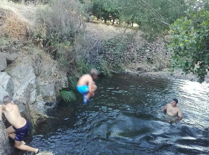 Prunus Avium Casa de Campo *