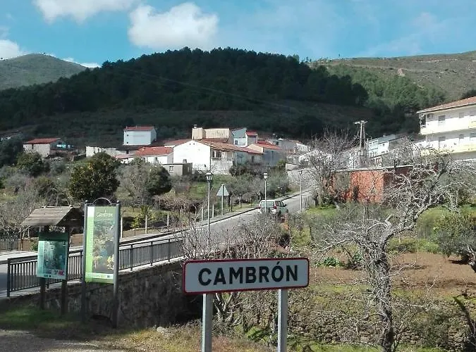 Prunus Avium Cambron