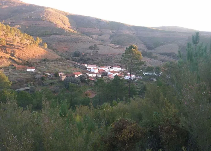 Prunus Avium Landsted Cambron