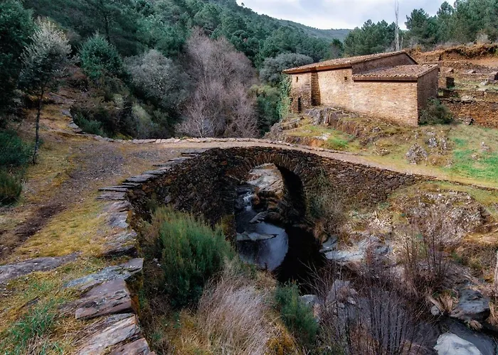Prunus Avium Casa de Campo Cambron
